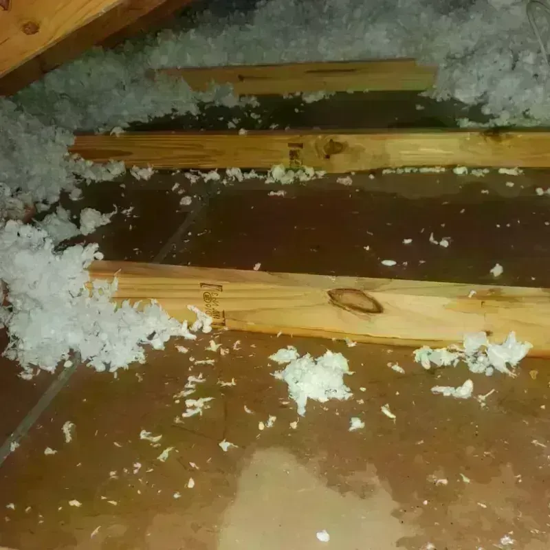 Attic Water Damage in Atascadero, CA